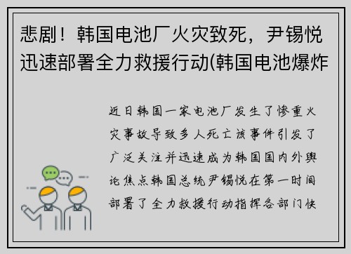 悲剧！韩国电池厂火灾致死，尹锡悦迅速部署全力救援行动(韩国电池爆炸)